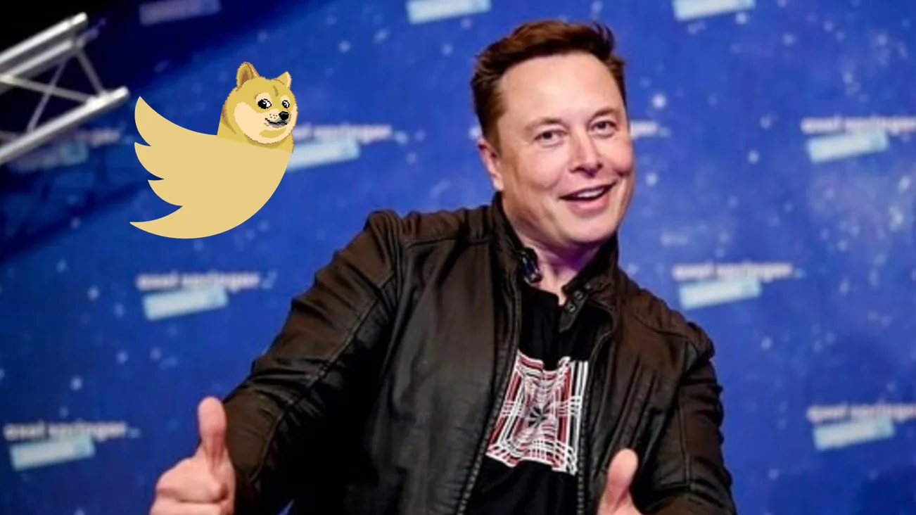 تحلیل فاندامتال دوج کوین Elon Musk DogeCoin Twitter